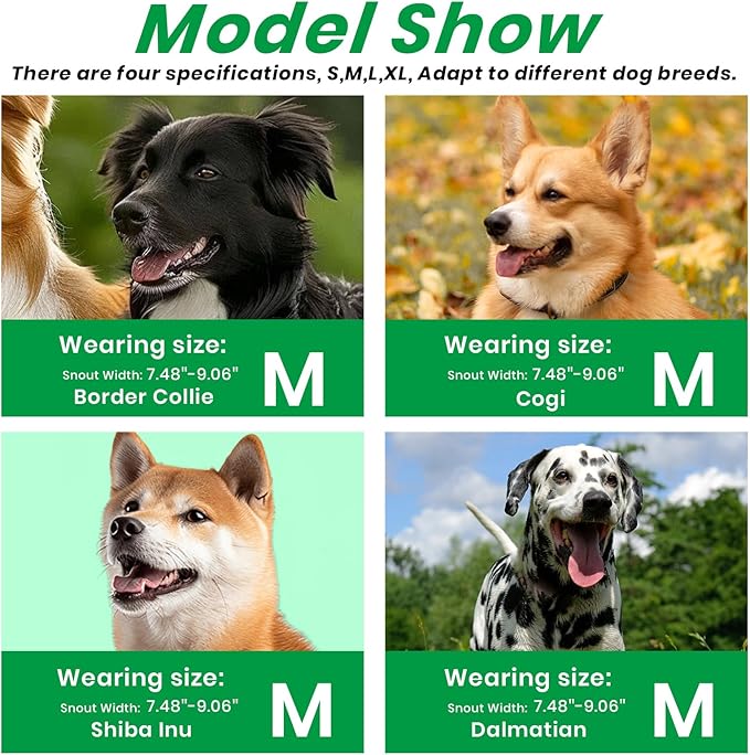 Dog Muzzle, Basket Muzzle for Small Medium Large Dogs, Anti-Biting and Chewing, Lightweight & Sturdy Cage Design, Allows Panting & Drinking, Ideal for Grooming & Training(Green Size M)-PurrikoPets