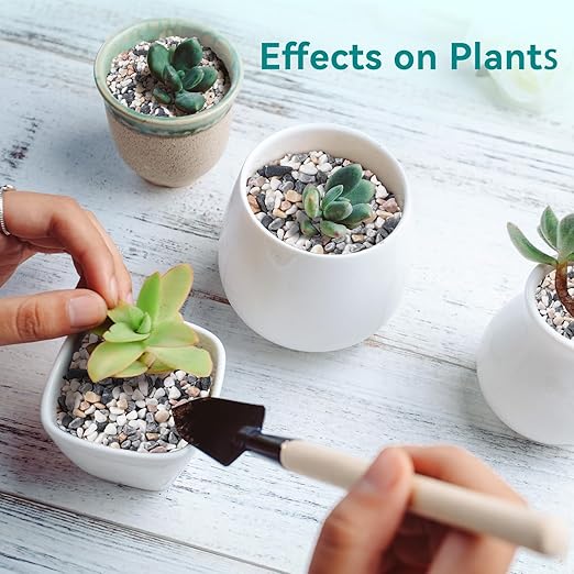 5 lbs Small Rocks for Succulents, 1/5 Inch Pebbles for Indoor Plants, Decorative Pea Gravel for Terrarium, Vases, Aquariums, Fish Tank, Drainage Rocks for Potted Plants, Bamboo,Crafts, Cactus-PurrikoPets