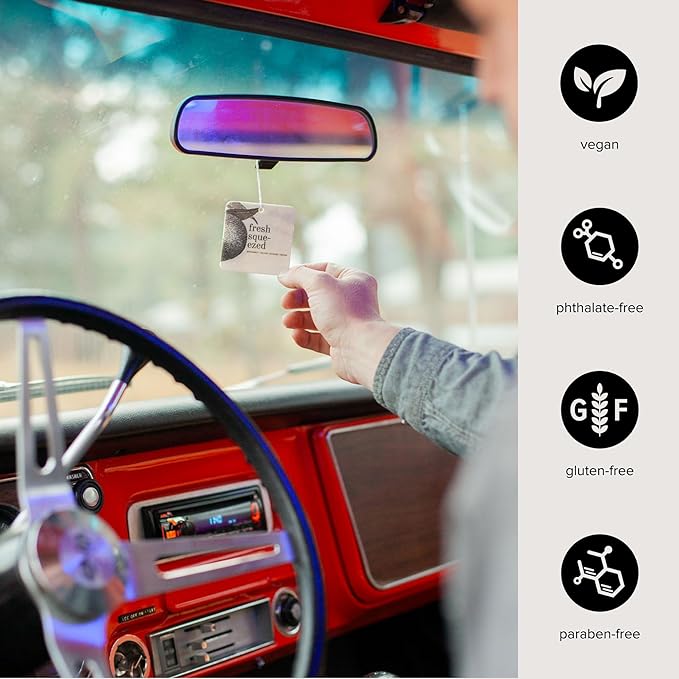 Fresh Squeezed Car Air Freshener - 4 Pack-PurrikoPets