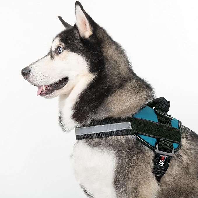 Dogline Dog Harness, Reflective No-Pull Adjustable Vest with Handle for Walking, Training, Breathable, No - Choke Harness for Small, Medium or Large Dogs Room for Patches Girth 27 to 34 in Turquoise-PurrikoPets