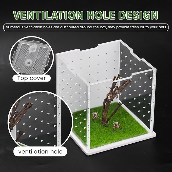 Acrylic Jumping Spider Enclosure, 2.95×2.95×2.87in Transparent Reptile Terrarium, Versatile Tarantula Enclosure for Small Reptiles/Insects, Small Reptile Tank with Dropper, Jumping Spider Accessories-PurrikoPets