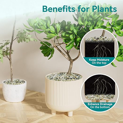 2.5 lbs Jade Pebbles for Indoor Plants, 3/8" Plant Rocks for Pots Indoor, Decorative Small Stones for Plants, Bamboo,Vase, Succulent, Highly Polished Small River Rocks-PurrikoPets