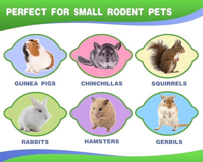 Abizoo Bunny Chew Toys for Rabbits,18PCS Natural Apple Wood Sticks with Petals Good for Chinchillas Guinea Pig Hamster Teeth Care, Bunny Small Pet Treats Teething Toys| Natural Organic Safe-PurrikoPets