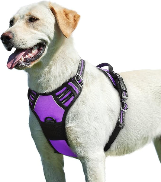 Eagloo Dog Harness for Large Dogs, No Pull Service Vest with Reflective Strips and Control Handle, Adjustable and Comfortable for Easy Walking, No Choke Pet Harness with 2 Metal Rings, Purple, L-PurrikoPets