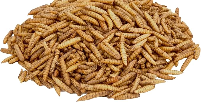 Dried Black Soldier Fly Larvae, 100% Natural, Non-GMO, High-Protein Treats for Chickens, Layer Hens, Wild Birds, Ducks, 13.3 oz, Pack of 4-PurrikoPets