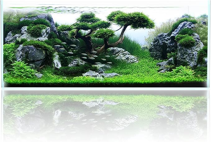 Fzone 80 Gal Rimless Low Iron Fish Tank Nova Clear Ultra-White 45° Mitered Edges Translucent Glass Anata Series Aquarium w/Black Foam Leveling Mat(S120-W50)-PurrikoPets