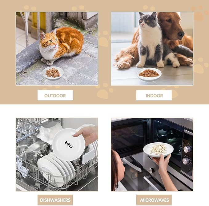 6 Pack Cat Food Bowl, Ceramic Cat Bowls, Anti Whisker Fatigue Cats Bowl Set,5.5 Inches Shallow Wide Kitten Plates for Food and Water (Fishbone Style)-PurrikoPets