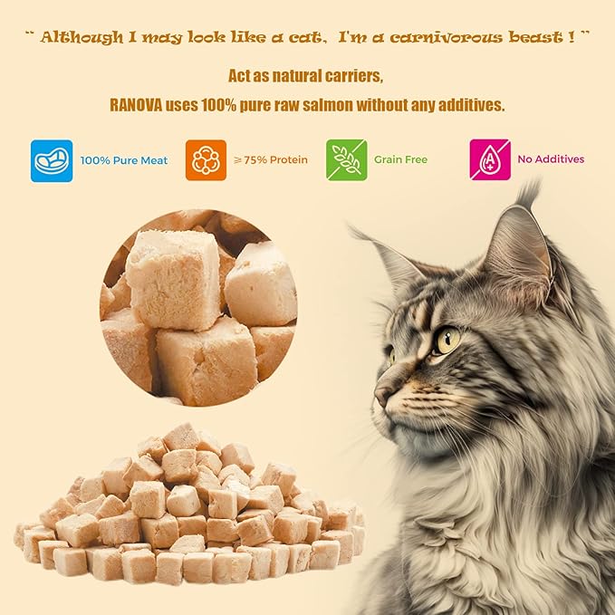 Freeze Dried Cat Treats - 100% Salmon Grain Free Raw - Natural Balance Limited Ingredient High Protein Cat Snacks 115g/4.1oz - Picky Eater Challenger-PurrikoPets