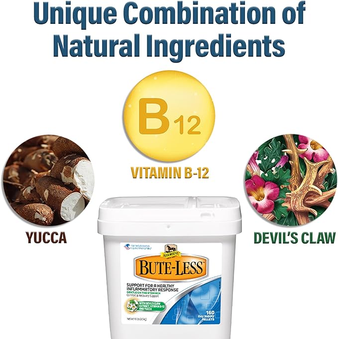 Absorbine Bute-Less Comfort & Recovery Support Supplement, Provides Long-Term Comfort, Gentle on Stomach, Includes Devil’s Claw, Vitamin B-12, Yucca, 10 lb / 160 Day Supply-PurrikoPets