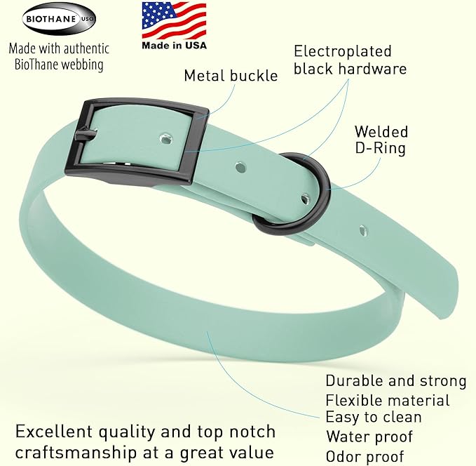 Dogline Biothane Waterproof Dog Collar Strong Coated Nylon Webbing with Black Hardware Odor- Proof for Easy Care Easy to Clean High Performance Fits Small Medium or Large Dogs, Sage Green-PurrikoPets