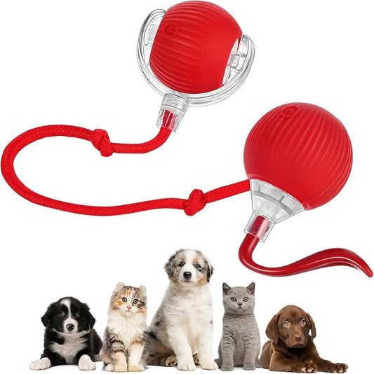 2 Pcs Interactive Rolling Cat Dog Toy Ball, Electric Cat Ball Toy Smart Automatic Self Rolling Dog Ball Toys, 360° Smart Rolling Ball Toy Electric Balls for Dog Cat (Red)-PurrikoPets