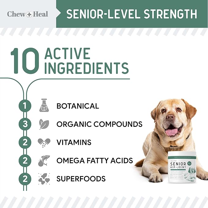 Glucosamine for Dogs Hip and Joint Supplement - 60 Senior Dogs Mobility Soft Chews - Made with Glucosamine, MSM, Chondroitin, Green Lipped Mussels and More - Made in The USA-PurrikoPets