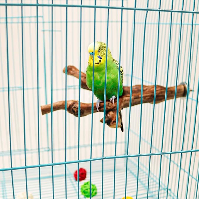 2 Packs Parrot Bird Perches,Natural Wild Grape Stick Grinding Paw Climbing Standing Cage Accessories Toy for 3-4 Parakeets, Budgies, Lovebirds,Cockatiels (Style-1)-PurrikoPets