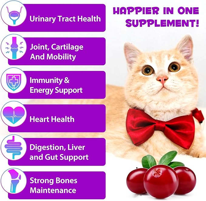 15-in-1 Multivitamin Drops for Cats - Immune Support, Skin & Coat Health, Digestion, Joint Care - with Vitamins A, B, C, D, E - Liquid Supplement for All Life Stages, 2 fl.oz/60ml, 2 Pack-PurrikoPets