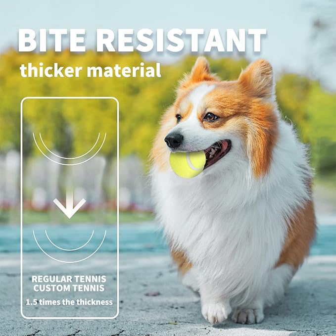 ALL FOR PAWS Interactive Super Bounce Tennis Balls Dog Toy, Pet Safe Toys for Exercise and Training, 2.5 Inch Diameter (6 Pack)-PurrikoPets