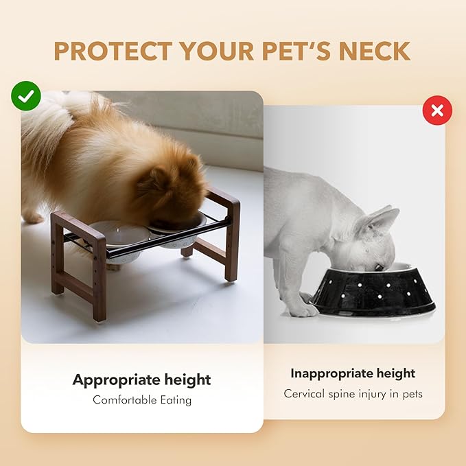 5.5inch Ceramic Adjustable Raised Double Bowls Set with Stand, 3 Heights Elevated, 2 Placement Options,Food and Water Dishes for Puppy, Cats（Double Bowls+Stand, Reactived Glaze -White-PurrikoPets