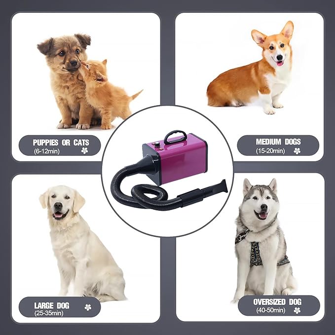 2400w 75m/s Dog Dryer for Pet Grooming, High Velocity Pet Hair Dryer with Heater, Adjustable Speed, 4 Nozzles and a Comb, Purple-PurrikoPets