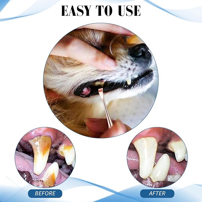 3 Pieces Dog Dental Tooth Scaler and Scraper Stainless Double Headed Tarter Removing Tool Scraper Pet Teeth Cleaning Tools for Dog and Cat (Rose Gold)-PurrikoPets