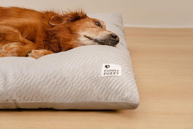 FUNNY FUZZY Washable Dog Bed,Reversible Plush Dog Crate Mat, Soft Fluffy Kennel Pad,Pet Sleeping Mattress for Jumbo,X-Large Sized Dogs Breeds,2XL,48"× 31",Light Grey-PurrikoPets