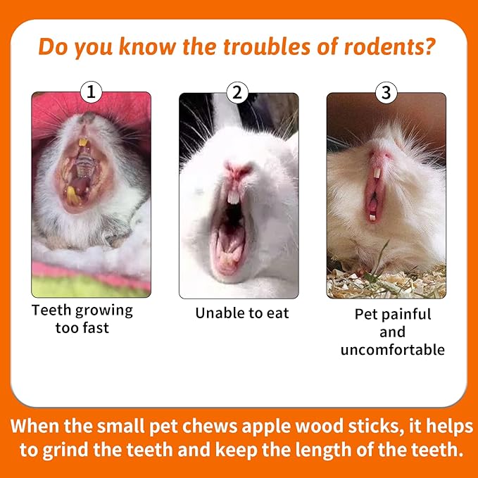 Fhiny 12 PCS Guinea Pigs Chew Toys, Natural Apple Branch Seagrass Molar Sticks for Teeth Bunny Chew Toys Cage Accessories for Guinea Pigs Rabbit Bunny Hamster Chinchilla-PurrikoPets