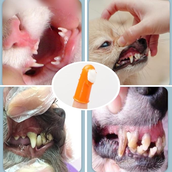 4 Pack Pet Tooth Brushing Kit – Extra Soft Finger Toothbrushes for Cats & Dogs Gentle Plaque & Tartar Removal, Freshens Breath Pain-Free Teeth Cleaning for Small to Large Pets-PurrikoPets