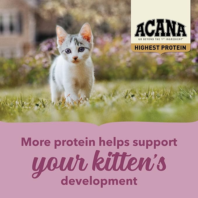 ACANA Highest Protein Dry Cat Food Kitten Recipe 4lb Bag-PurrikoPets