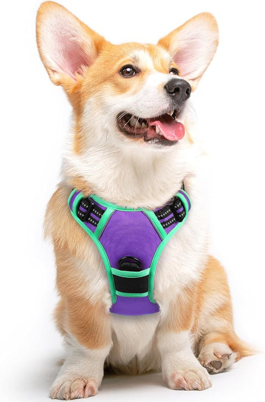 Eagloo Dog Harness for Large Dogs, No Pull Service Vest with Reflective Strips and Control Handle, Adjustable and Comfortable for Walking, No Choke Harness with 2 Metal Rings, Purple & Green, M-PurrikoPets