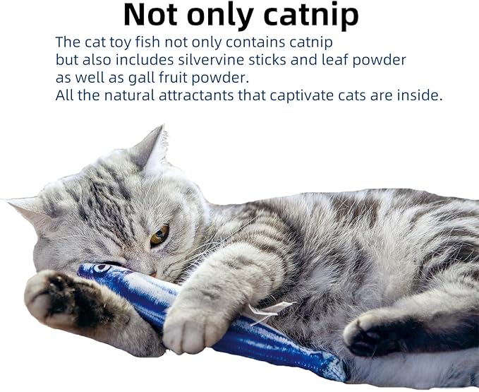 6 PCS Cat Fish Toy Soft and Durable,Cat nip Toy with Catnip Inside, Kicker Toys for Indoor Kitten Exercise,Kitty Teething Chew Toy (6 Sauries)-PurrikoPets