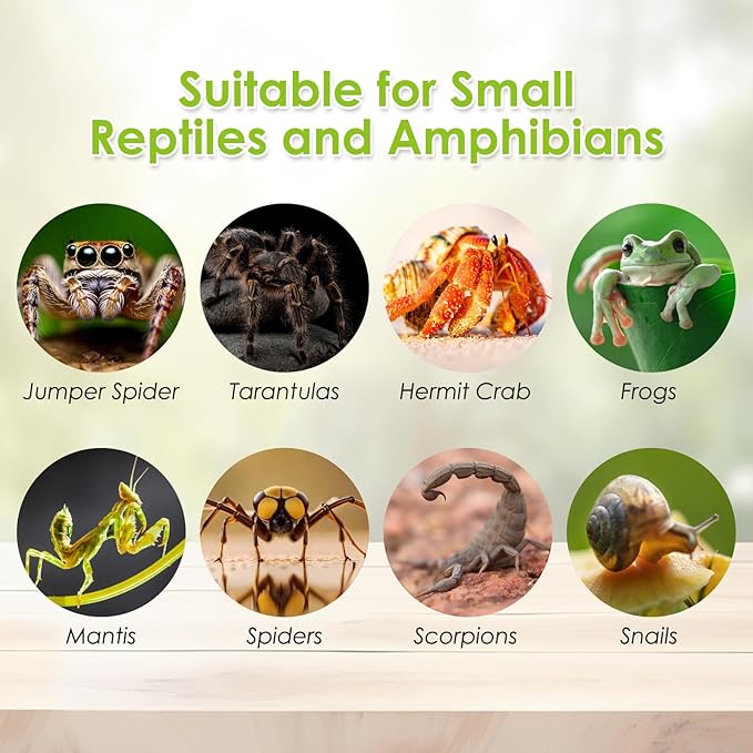 Acrylic Reptile Terrarium Enclosure 9.8" x 5.9" x 5.9" Magnetic Tarantula Breeding Box Transparent Insect Habitat for Jumping Spider Hermit Crab Lizard Sling Isopods Horned Frog Snake Gecko-PurrikoPets