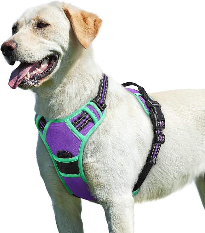 Eagloo Dog Harness for Large Dogs, No Pull Service Vest with Reflective Strips and Control Handle, Adjustable and Comfortable for Walking, No Choke Pet Harness with 2 Metal Rings, Purple & Green, L-PurrikoPets