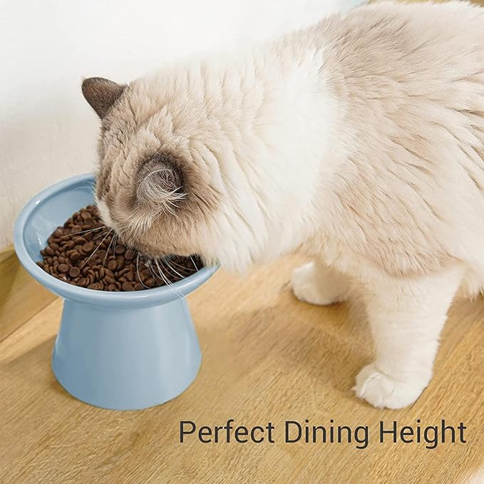 Extra Wide Elevated Ceramic Cat Food Bowl - 6.2" Shallow Dish for Whisker Fatigue Relief, 5" Height for Easy Feeding, Lead & Cadmium Free, Durable Raised Cat Food Bowls, Blue-PurrikoPets