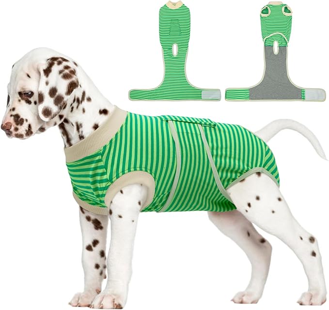 FUAMEY Dog Recovery Suit Male,Dogs Surgery Neuter Suits Puppy Spay Shirts for Female Protect Dog's Skin Anti Licking Abdominal Wounds Doggie Onesie Pet Bodysuit Alternative to Cone Green Stripes S-PurrikoPets