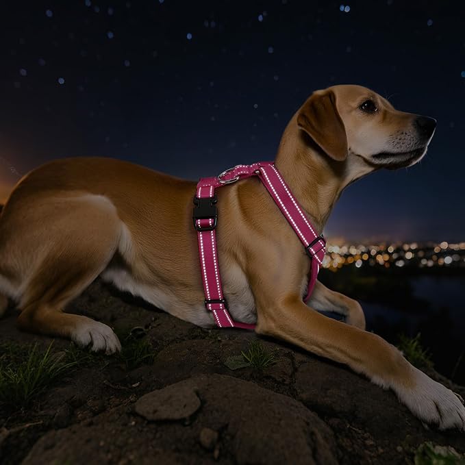 Dog Seat Belt Harness for Car, Dog Car Harness Adjustable Mesh Breathable & Dog Seatbelt Safety Tether with Elastic Bungee for Small Medium Large Pets(Rose, M)-PurrikoPets
