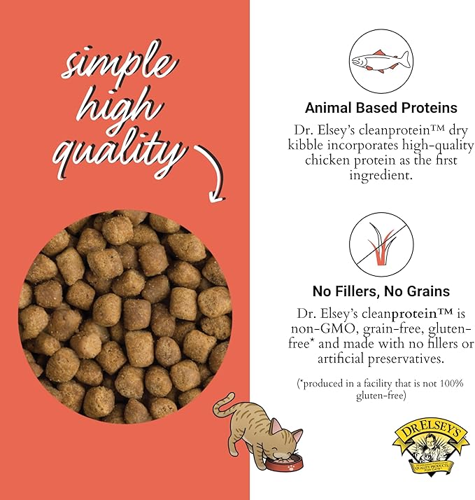 Dr. Elsey'S Cleanprotein Salmon Formula Dry Cat Food, 2 Pound (Pack of 1)-PurrikoPets
