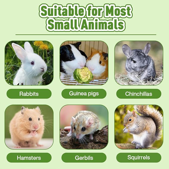 Abizoo Freeze Dried Brussels Sprouts Rabbit and Hamster Chew Treats Resealable Jar for Hamsters Bunny Guinea Pigs Groundhogs Natural Fiber Vitamin Snacks-PurrikoPets