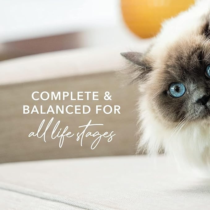 Feline Natural New Zealand Canned Catfood Wet Food, High-Meat, Low-Carb, & Grain Free Cat Food Wet, Beef & Hoki Feast, 3 oz, Pack of 24-PurrikoPets