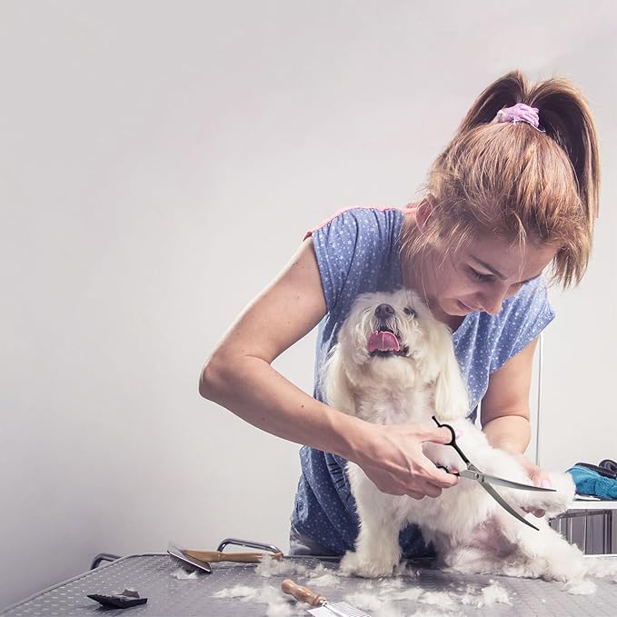 Dragon Creek 7" Upward Curved Dog Grooming Scissors - Safety Shears for Face & Paws Trimming - Black-PurrikoPets