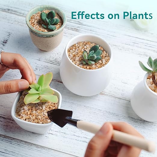 2.5 lbs Coarse Sand for Plants, 1/5 Inch Horticultural Sand for Vases, Aquariums, Terrarium, Fish Tank, Drainage Rocks for Potted Plants, Bamboo, Succulent, Crafts, Cactus-PurrikoPets