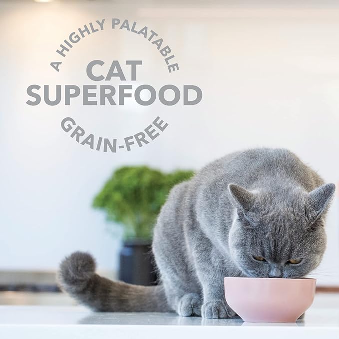 Feline Natural Freeze Dried Lamb Green Tripe Cat Food Supplement - Grain-Free High Protein Natural Topper - 2 Oz Grass Fed Beef Freeze Dried Cat Treats-PurrikoPets