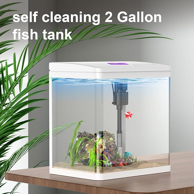 2 Gallon Glass Betta Fish Tank，Small Fish Tank with Filter and Light,Self-Cleaning Fish Tank.-PurrikoPets
