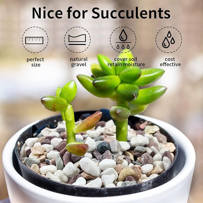 2 lbs Natural Mixed Color Pea Gravel Pebbles, 3/8 inch Decorative Rocks for Succulents, Pebbles for Indoor Plants, Vases, Aquarium Gravel, Top Dressing, Outdoor Decorative Stones-PurrikoPets