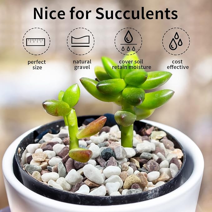 10 lbs Colorful Pebbles Pea Gravel for Landscaping, 3/8 Inch Decorative River Rocks for Plant Indoor Succulent Cactus Vase Garden and Plant Pots-PurrikoPets