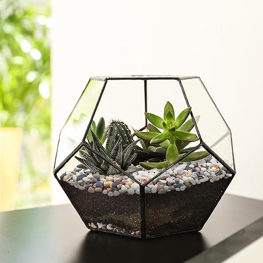 2.5 lbs Small Rocks for Plants, 1/5 Inch Pebbles for Indoor Plants, Natural Decorative Pea Gravel for Aquarium, Fish Tank, Terrarium, Succulents, Bamboo Plants, Vases, Cactus, Crafts-PurrikoPets