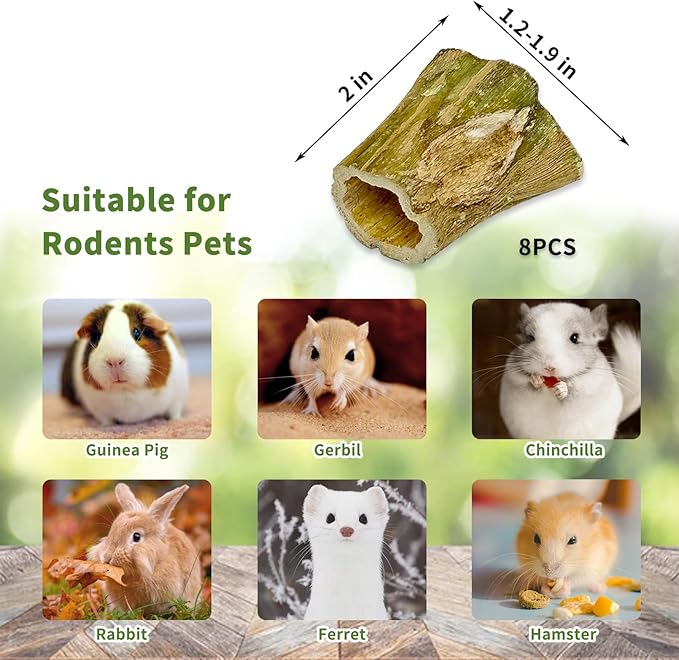 Fhiny Rabbit Chew Toys, 8 PCS 2" Natural Papaya Wood Chew Sticks Guinea Pig Treats for Dental Care Bunny Treats for Rabbits Small Pet Molar Snacks for Bunny Guinea Pig Chinchilla Hamster Gerbil-PurrikoPets
