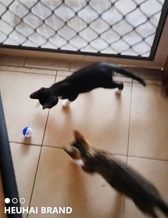 10-Pack Cat Toy Balls for Kittens and Adult Cats, Furry Fun (1.5'' - 2.1'', Cat Toys Value Pack)-PurrikoPets