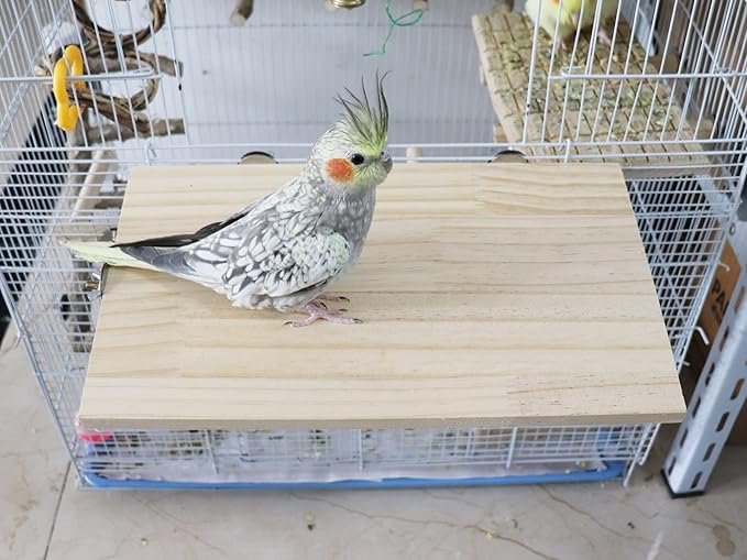13.6×7.9 Inches Large Bird Perch Stand Platform, Natural Wooden Small Animals Cage Accessories, Rectangle Stand Perch Shelf for Parrot Parakeet Cockatiel Rat Hamster Guinea Pig Conure Chinchillas-PurrikoPets