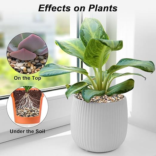 Fish Tank Rocks,Virekm River Rocks, Decorative Ornamental Pebbles Garden Landscaping Stones Gravel Filler for Home Decoration Flower Bed Fish Tank Plants Vases Succulents (10 Pounds)-PurrikoPets