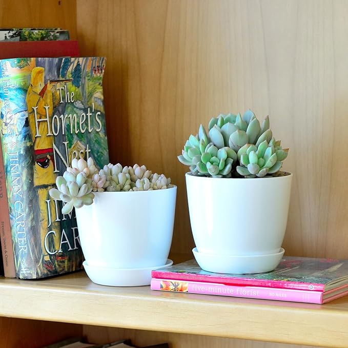 50 Pack 4 Inch Plant Pots Bulk Small Plastic Planters Pots with Drainage Holes Flower Pot for Succulent, Cactus, Herb, African Violet (50pcs-White, 4Inches)-PurrikoPets