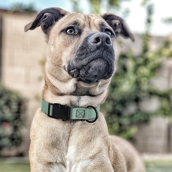 Dogline Biothane Waterproof Dog Collar with Quick Release Buckle Strong Coated Nylon Webbing with Odor- Proof for Easy Care Easy to Clean Fits Small Medium Large Dogs, Sage Green 5/8" W 9-14" L-PurrikoPets