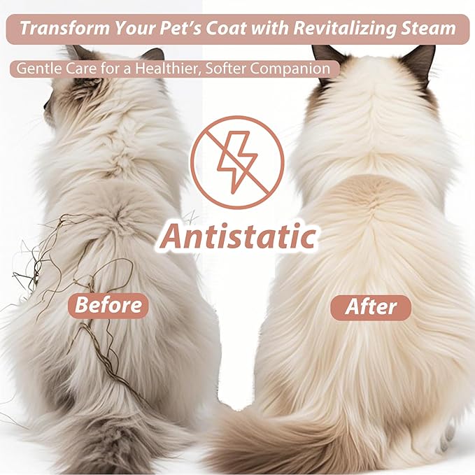 4 in 1 Cat Steam Brush Rechargeable Anti-Static Pet Spray Hair Removal Comb for Shedding and Grooming Multi-functional Pet Massage Brushes for Cats Dogs Small Animals-PurrikoPets